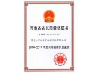 河南省省长质量奖